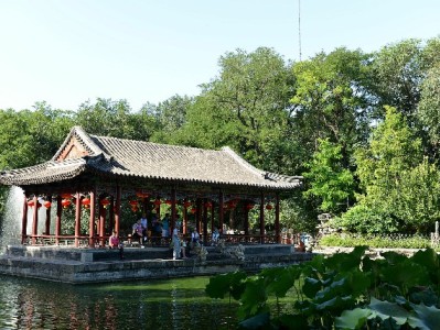 总疑惑花呗总扣银行卡？出财小神教你调支付顺序