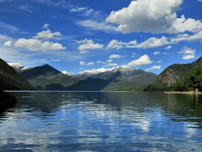 抖音月付扫码套现安全吗？“出财小神”揭秘三大风险需警惕