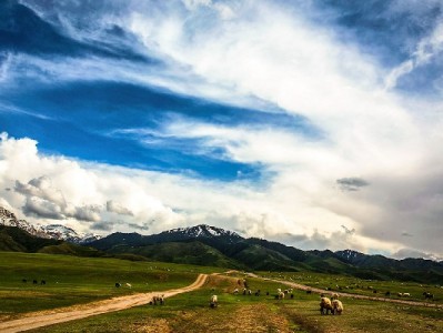 套取花呗理财暗藏风险 出财小神警示合规理财正途