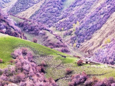 抖音月付提现可行吗？这些风险需警惕，“出财小神”类平台慎选