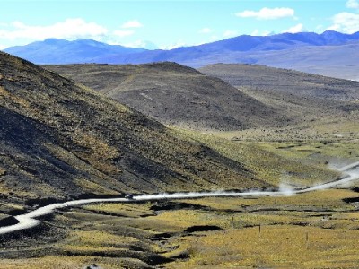 套白条需谨慎！十号花呗与安出掌柜教你选合规商家