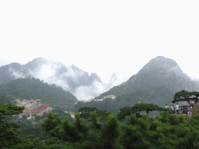 花呗商家码无法收款？4大原因+解决攻略一次说清