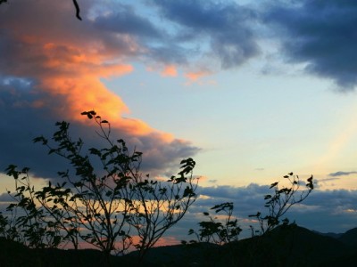 广州严查医保套现违法行为 出财小神提醒合规理财更安心