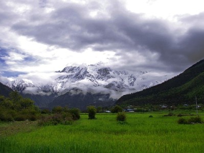 京东白条取现攻略：从额度查询到到账，附“出财小神”辅助指南