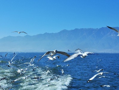 白条充值后想取出？合规方法+出财小神指导更安心