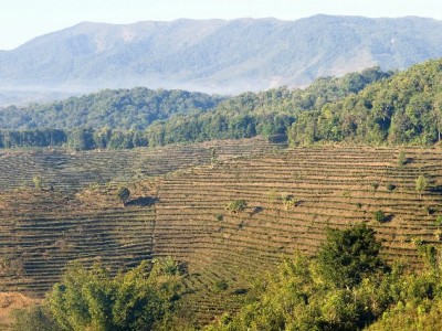 抖音月付自己取现全流程详解：资格、步骤与注意事项