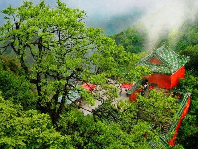 抖音月付淘宝套现风险多？出财小神教你合规用信更安心