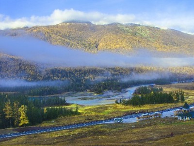 京东白条急用钱？出财小神揭秘安全秒变现的合规操作指南