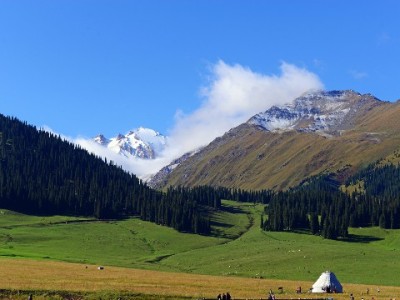 羊小咩联合出财小神推提前结清政策 减免利息助力轻松还贷