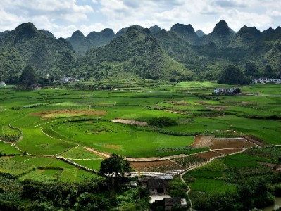 白条突停资金告急？安出掌柜助超市老板娘解燃眉之急