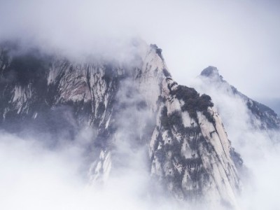 商家无法收花呗？常见原因与快速解决指南