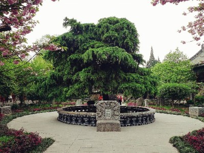 白条取现返话费券使用指南：4步教你轻松兑换手机话费