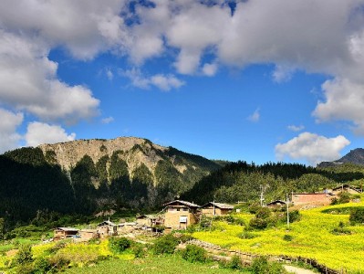 2024年花呗还款全攻略：自动、分期、延期怎么操作？看这篇就够