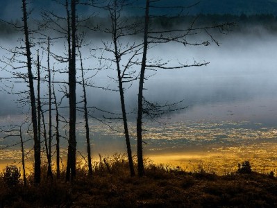 花呗提现需谨慎！这些信誉风险可能让你追悔莫及