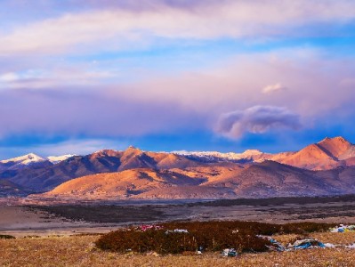 微信花呗账号管理有新招？富信掌柜助力信用消费更省心