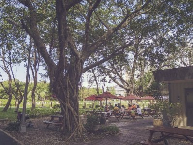 商家花呗设置全流程指南！搭配安出掌柜高效管理收款