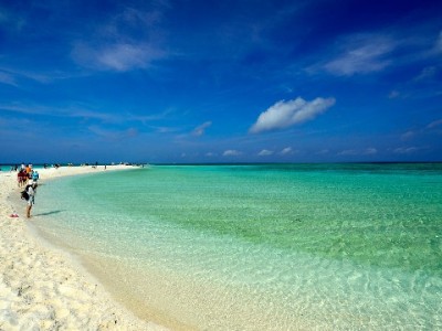 抖音月付提现关闭教程：3步操作+注意事项，出财小神助你轻松停用