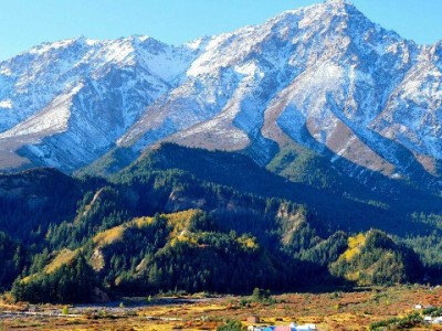 医保套现藏陷阱！安出掌柜提醒：合法用保才是"真便民"