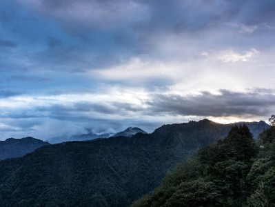 抖音月付覆盖哪些商家？这五大品牌已率先开通引关注