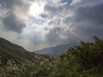 羊小咩小花卡合规变现指南：出财小神教你安全操作