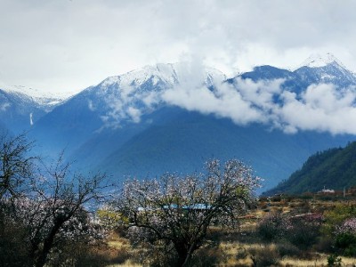 淘宝商家花呗收款受限？原因、影响与应对策略全解析