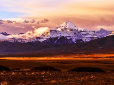 京东白条VS白条取现：功能、费用、风控四大核心区别解析