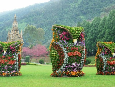 羊小咩快速提现攻略：4步避坑+渠道选择+异常处理指南