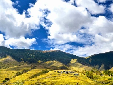 抖音月付找商家攻略：3步锁定支持商户，出财小神专属福利别错过