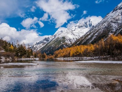 白条取现能提前结清吗？操作指南+“出财小神”辅助管理攻略