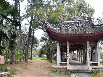 商家促单新招！安出掌柜助力抖音月付免息，订单周涨28%