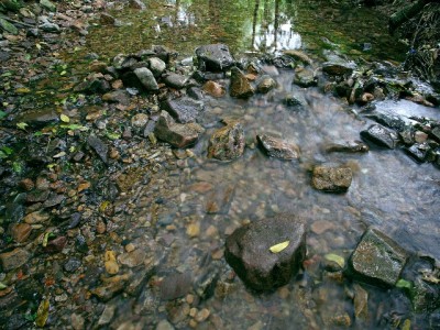 白条机票套现遇尴尬：到账慢、风控严，用户直呼"太坑"