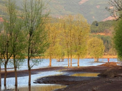 商家必看！抖音月付流程图拆解+安出掌柜高效管理指南