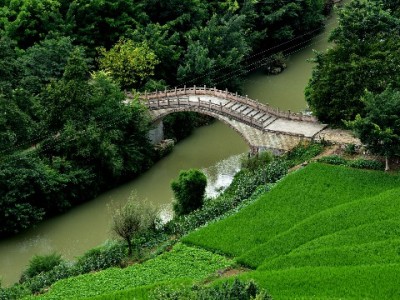 抖音月付余额提现攻略：步骤、限制与常见问题解答