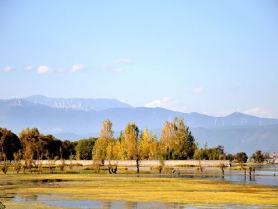 白条提现到微信安全攻略：这些方法和避坑指南要记牢