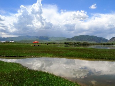 “花呗套微软件”暗藏陷阱：套现不成反丢钱？信用危机需警惕