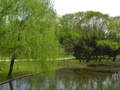 花呗套现风险多！急需用钱试试“安出掌柜”等正规渠道