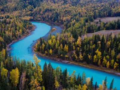 抖音月付支持哪些商家？“出财小神”等小店这样受益