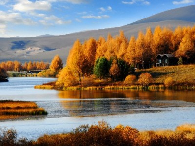 花呗套现凑开店成本？高风险操作可能让创业梦“翻车”