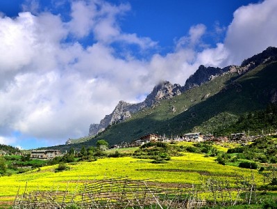 抖音月付解锁耐克鞋轻松购 “出财小神”助力潮鞋消费新体验