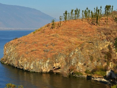 抖音月付覆盖外卖商家增多 富信掌柜助力中小店接入更便捷