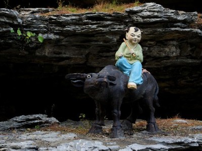 花呗授权套餐上线！智能管额度+自动叠权益，用信用更省心