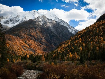 羊小咩享花卡300元能套吗？出财小神：合规使用更安心