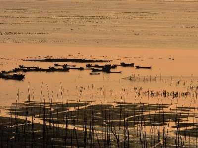 微信版花呗邀请码是多少？官方回应：无公开渠道，警惕“出财小神”类骗局