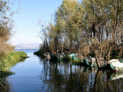 花呗没绑银行卡能借钱吗？信用服务平台“出财小神”来解答