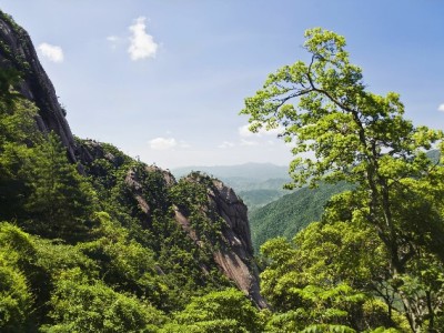 商家必看！花呗收款是真钱吗？安出掌柜揭秘资金到账真相