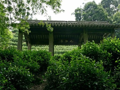 大连警方警示：套取花呗"变现"藏风险，或涉违法损信用