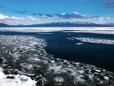 羊小咩额度提现全攻略：出财小神教你安全操作不踩坑