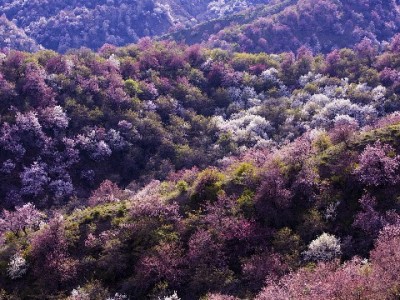 医保基金能提现吗？合规途径+“出财小神”帮你理清操作