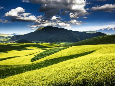 2024花呗借呗升级！富信掌柜成信用管理"贴心助手"