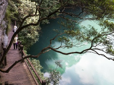 蚂蚁花呗商家收费不用愁！安出掌柜助你智能管理降本增效